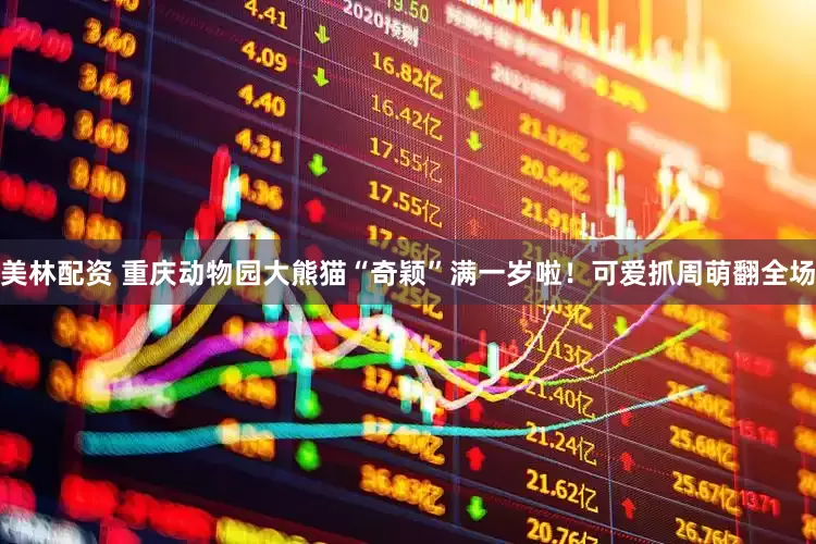 美林配资 重庆动物园大熊猫“奇颖”满一岁啦！可爱抓周萌翻全场
