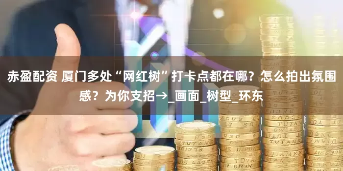赤盈配资 厦门多处“网红树”打卡点都在哪？怎么拍出氛围感？为你支招→_画面_树型_环东