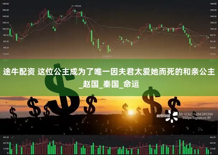 途牛配资 这位公主成为了唯一因夫君太爱她而死的和亲公主_赵国_秦国_命运