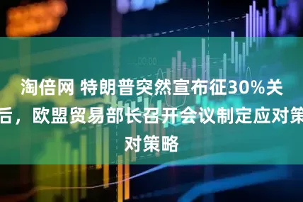 淘倍网 特朗普突然宣布征30%关税后，欧盟贸易部长召开会议制定应对策略