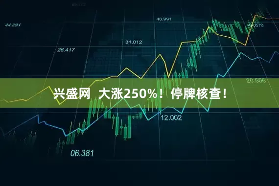 兴盛网  大涨250%！停牌核查！