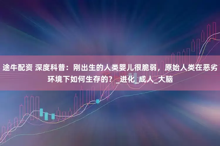 途牛配资 深度科普：刚出生的人类婴儿很脆弱，原始人类在恶劣环境下如何生存的？_进化_成人_大脑