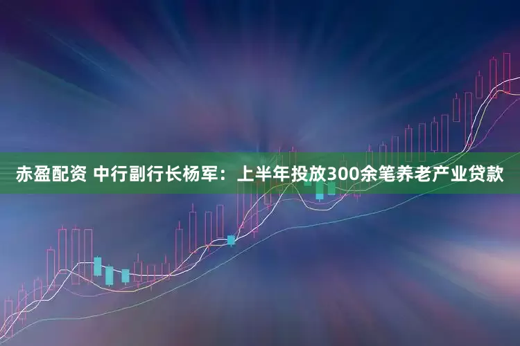 赤盈配资 中行副行长杨军：上半年投放300余笔养老产业贷款