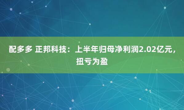 配多多 正邦科技：上半年归母净利润2.02亿元，扭亏为盈