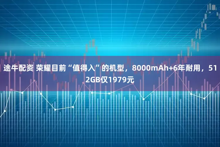 途牛配资 荣耀目前“值得入”的机型，8000mAh+6年耐用，512GB仅1979元