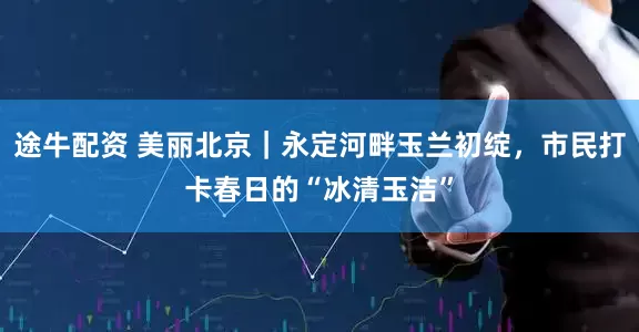 途牛配资 美丽北京｜永定河畔玉兰初绽，市民打卡春日的“冰清玉洁”