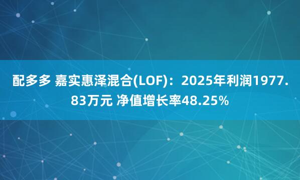配多多 嘉实惠泽混合(LOF)：2025年利润1977.83万元 净值增长率48.25%